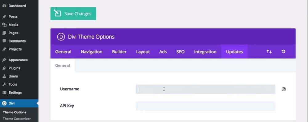 divi review - divi theme options screenshot