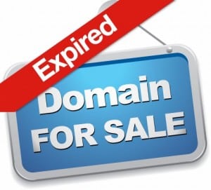 7 Ways to Monetize Expired Domains