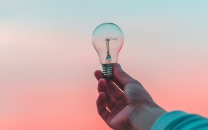 niche business ideas