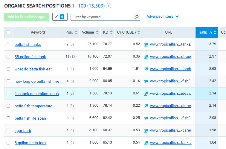 SEM Rush Full Keyword Report