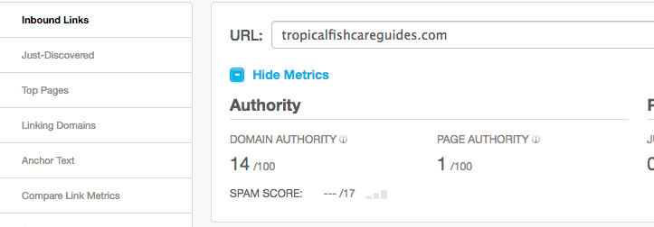 Domain Authority Metric