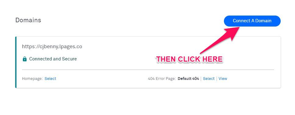 leadpages review: domain screenshot