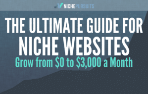 Building Niche Websites