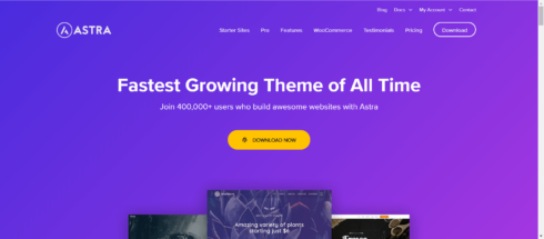 WP Astra Theme Review: The WordPress Theme To End All Themes?