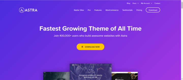 wp astra theme home page