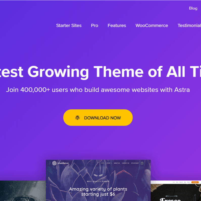 wp astra theme home page