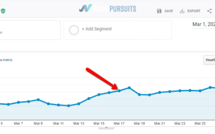 how much does a website make per visit.