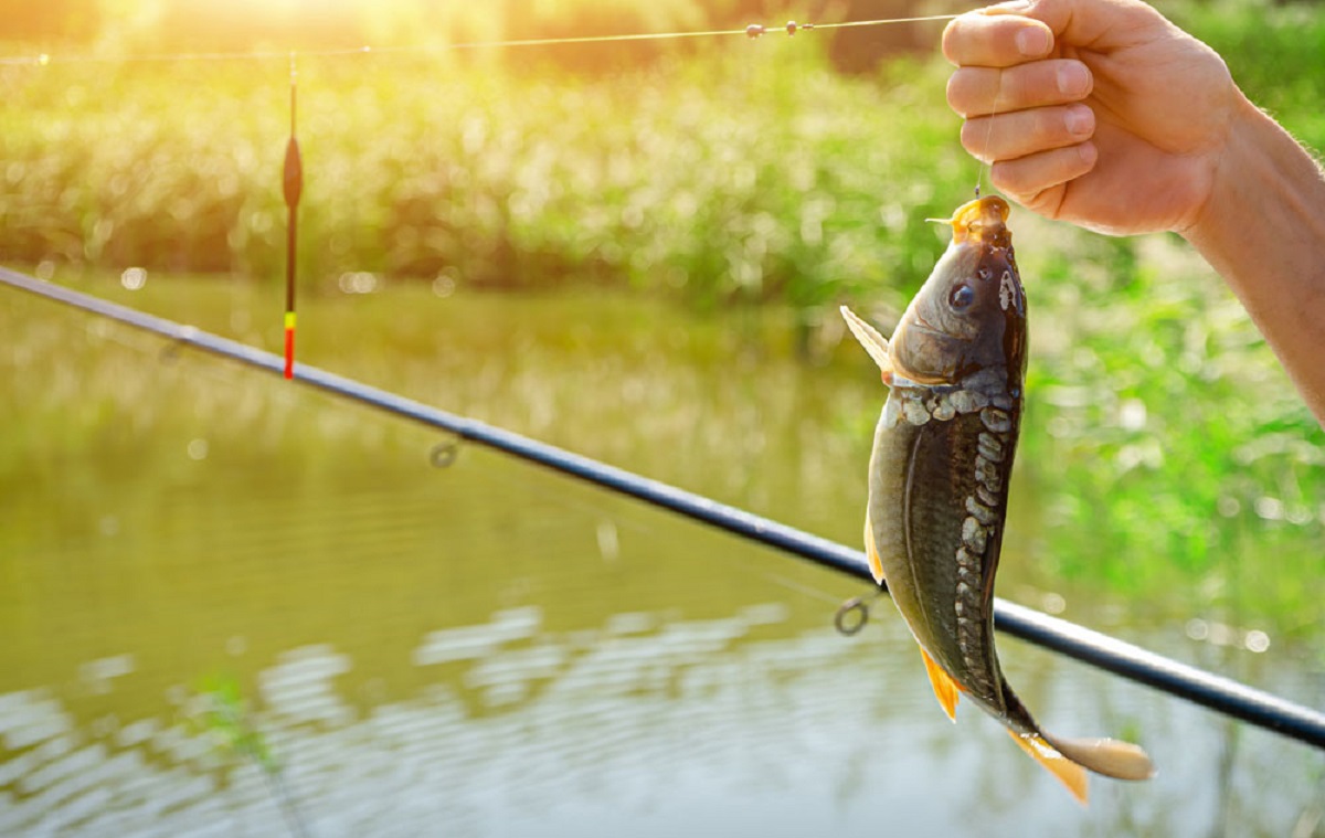 Fishing
