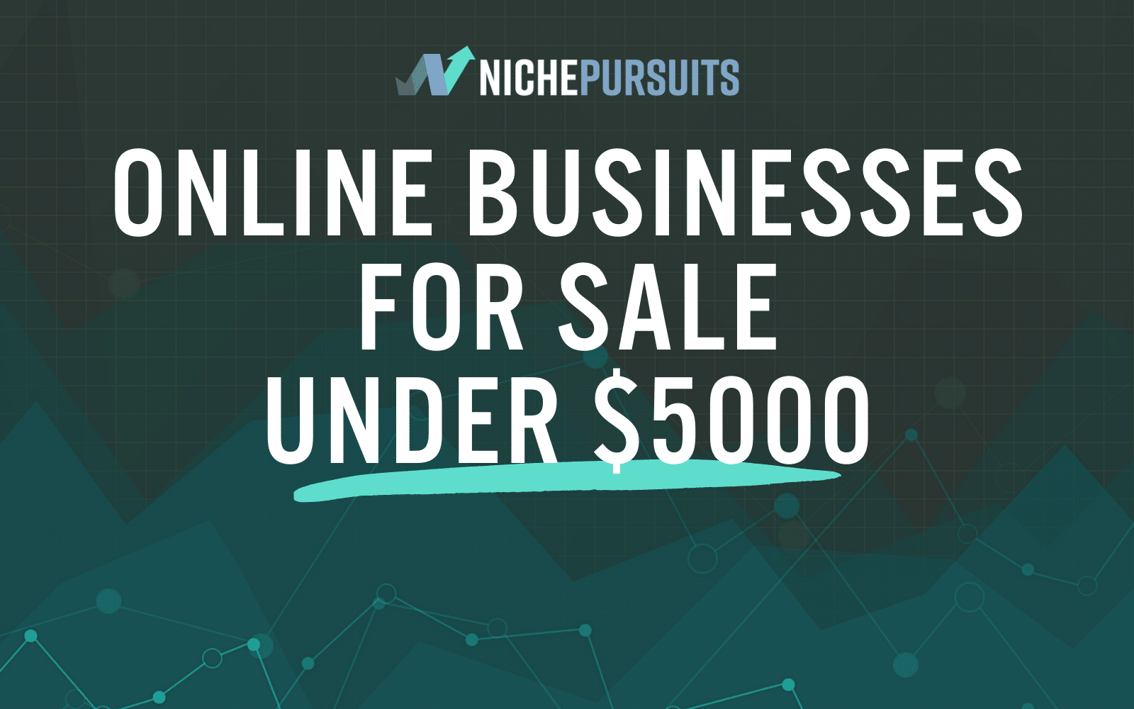 Gaming Niche Online Business Website opportunity for sale