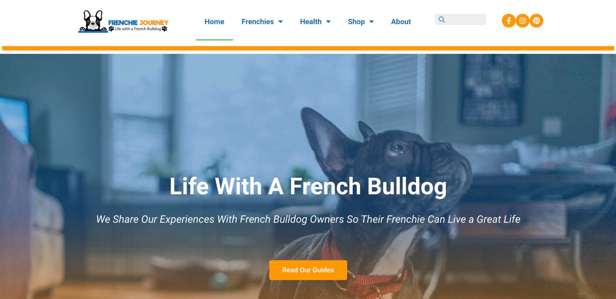 Sites Web de marketing d'affiliation de niche pour animaux de compagnie