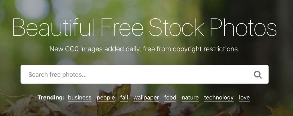 StockSnap Free Photos