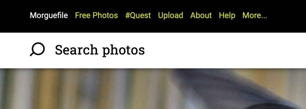 Gratisography – A resource to get free images for your project, blog or website – Knowcusp