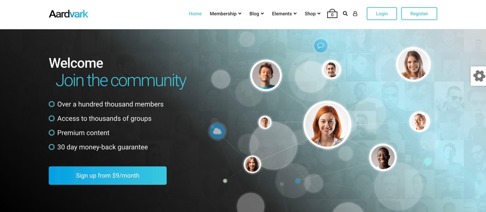 Aadvark community Wordpress theme