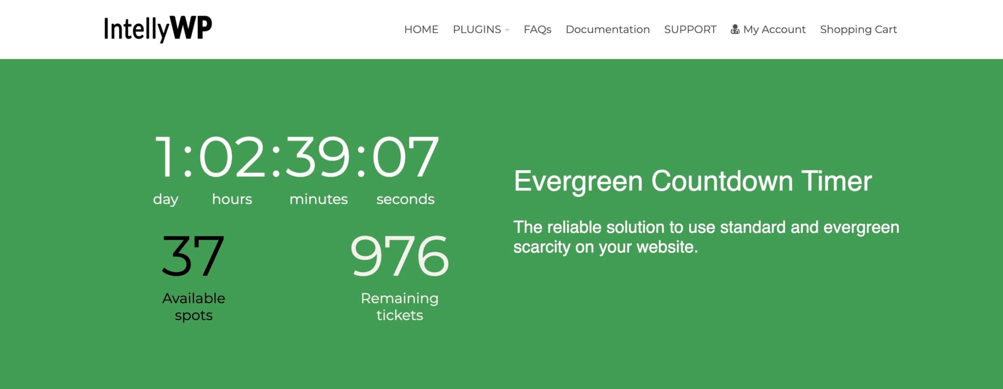 Evergreen wordpress countdown timer