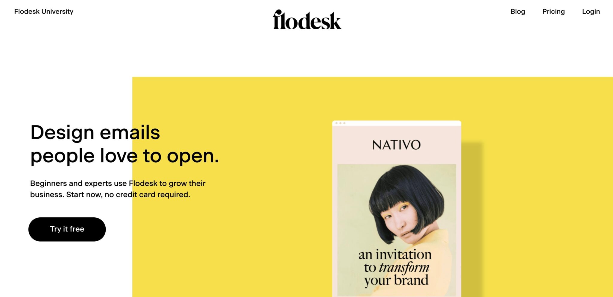Flodesk homepage