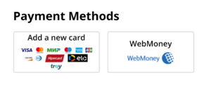 Screenshot of payment methods offered on AliExpress.