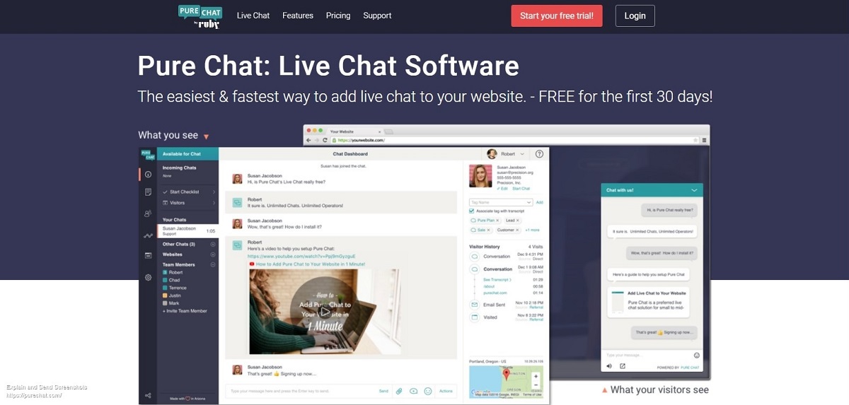 Pure Chat landing page