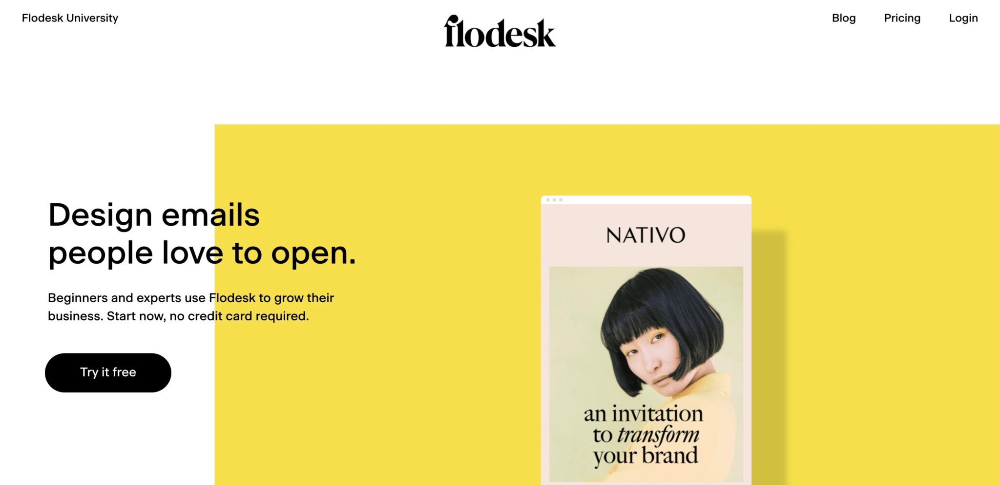 Flodesk review: Flodesk homepage