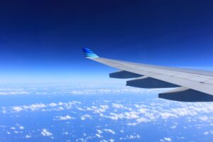 global distribution systems give flight details to registered travel companies