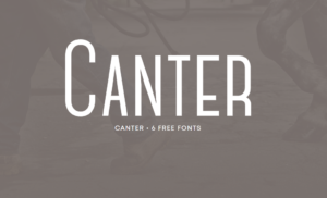 Picture of the Canter typeface for WordPress.
