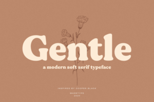 Picture of the Gentle font for WordPress.