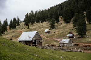 Cabins on farm land for rent.