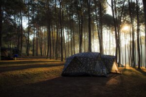 Camp sites in a wooded area.