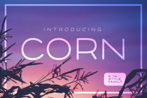Picture of Corn font from WordPress.