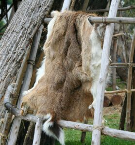Deer pelts haning out to dry.