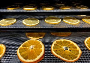 Oranges on trays being dehydrated.
