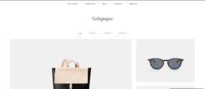 Screenshot of one of the best Squarespace templates Galapagos.