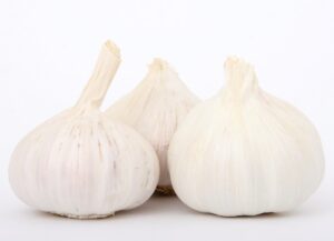 Picture of garlic bulbs against a white background.