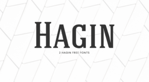 Picture of the Hagin font for wordpress.