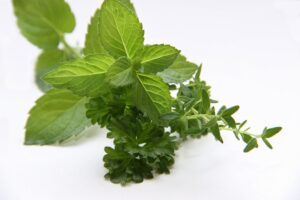 Picture of herbs against a white background.