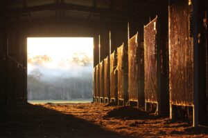 Horse stables on a farm.