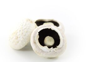 Picture of mushrooms against a white background.