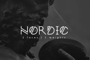 Picture of Nordic font for WordPress.