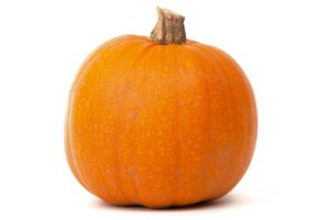 Picture of a pumpkin against a white background.