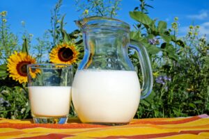 Raw cow milk in a glass next to a pitcher full of milk.