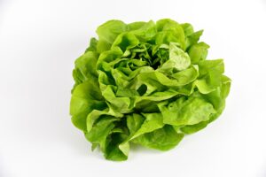 Picture of salad greens against a white background.