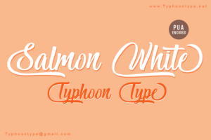 Picture of Salmon font for wordpress.