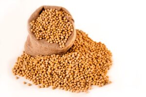 Seeds from plants for sale against a white background.