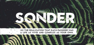 Picture of Sonder font for wordpress.
