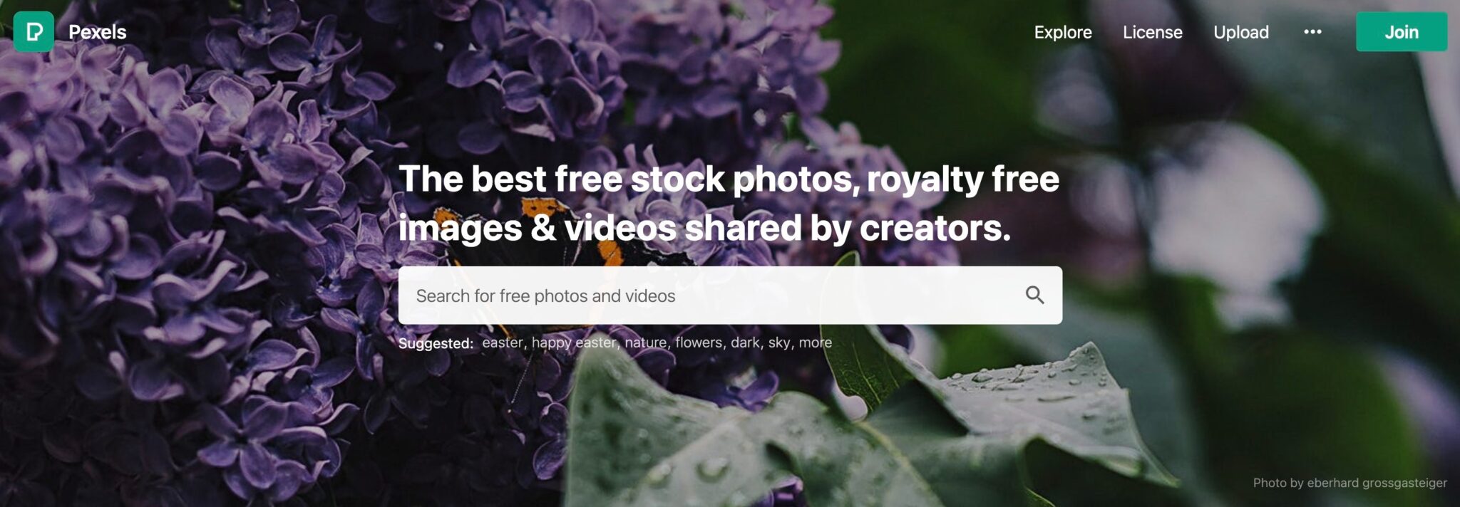 Screenshot of Free Stock Photos Royalty Free Stock Images Copyright Free Pictures · Pexels scaled