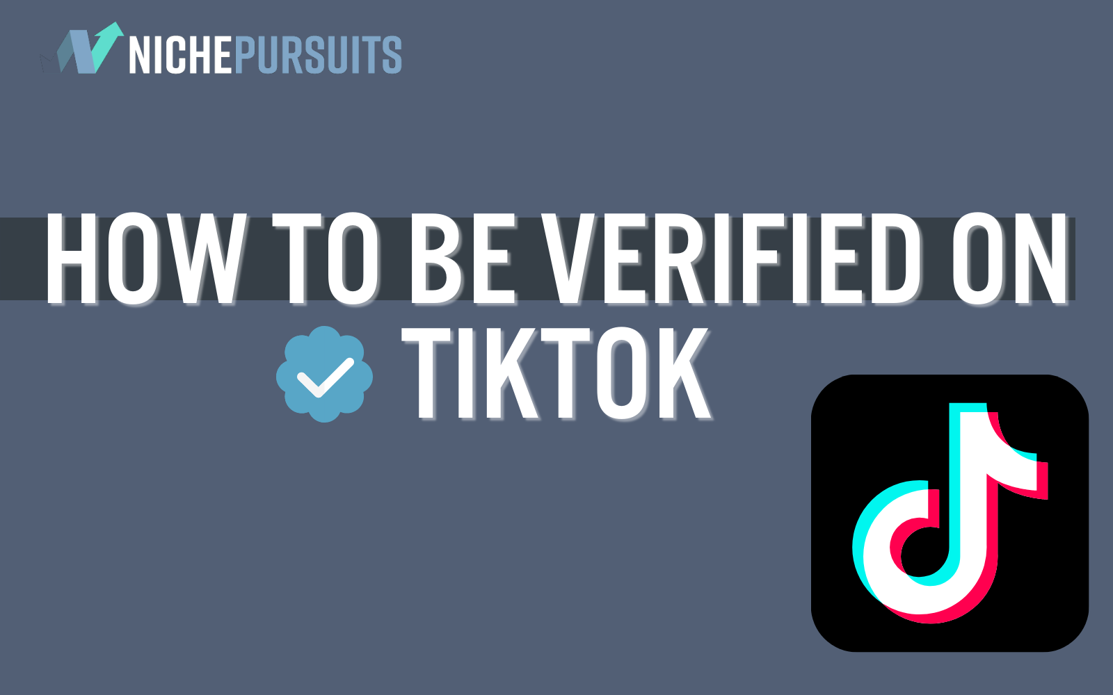 Tiktok Verification Service - Get Blue Tick Verified Tiktok