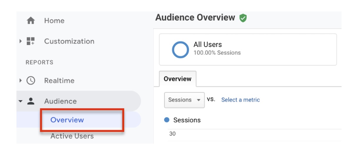 Google analytics audience overview