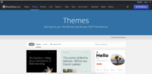 Screenshot of the WordPress themes page.