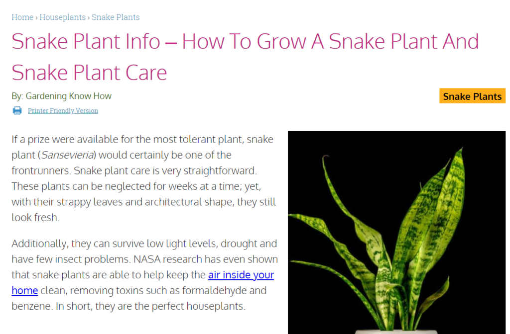 Gkh Snakeplant Article
