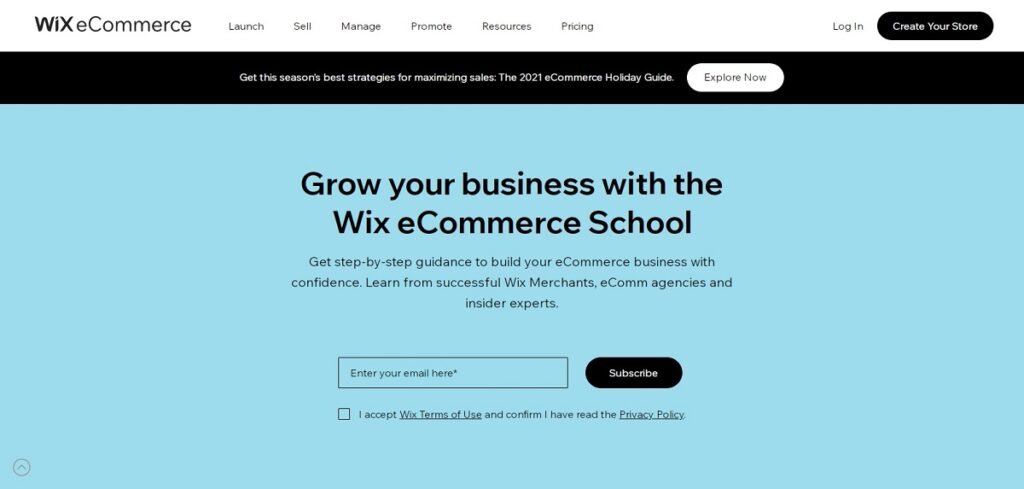 WIX eCommerce School landing page