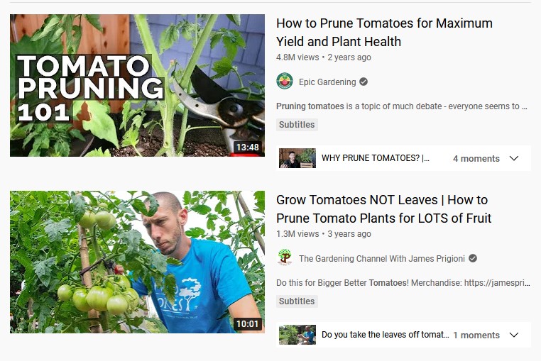 youtube videos tom plants
